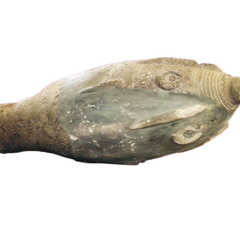 Балық пішінді жұмыртас