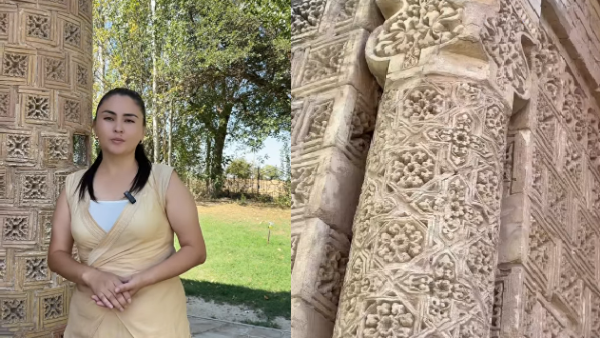 Айша бибі кесенесінің ерекше құпиясы – арша ағашы!