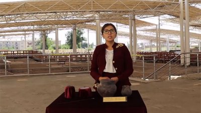 Берікқара қорымынан табылған жәдігерлер