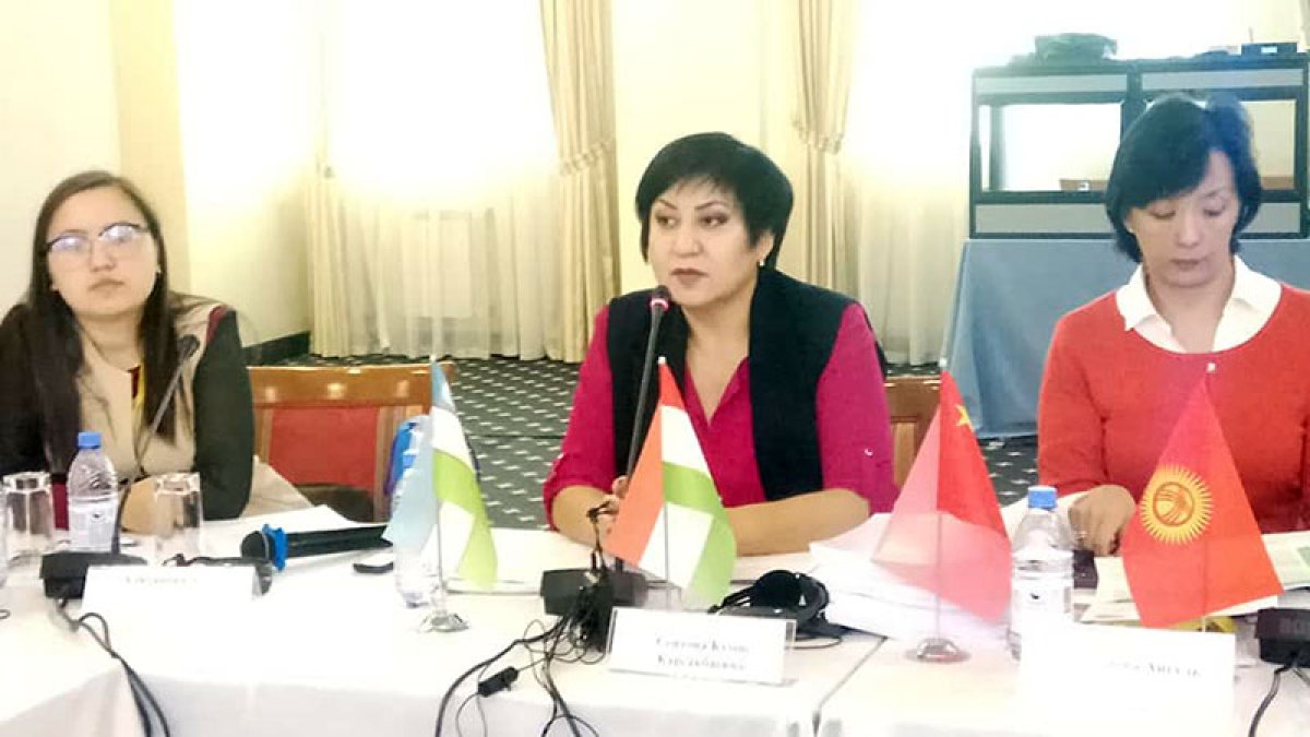 Суб-регионалдық отырысы болды