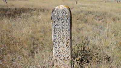 Өркендеу символы – қызғалдақ!