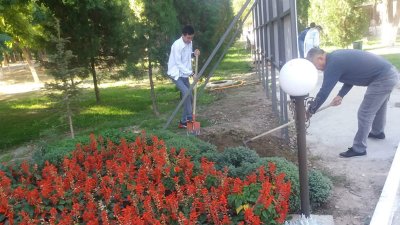 Сенбілік жұмыстар