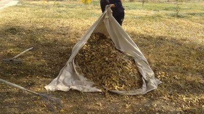 Кесенелердің аумағында тазалау жұмыстары жалғасуда