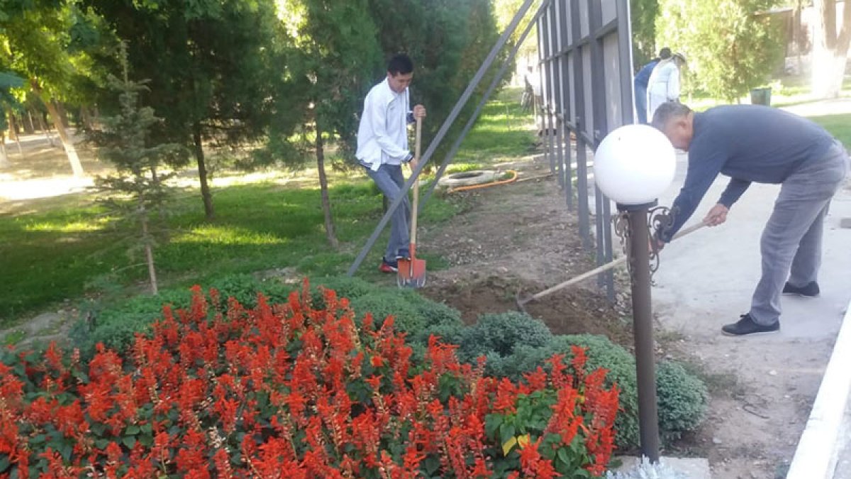 Сенбілік жұмыстар