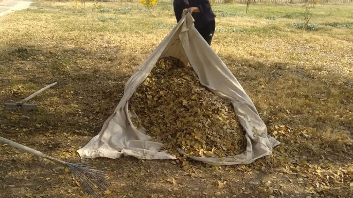 Кесенелердің аумағында тазалау жұмыстары жалғасуда