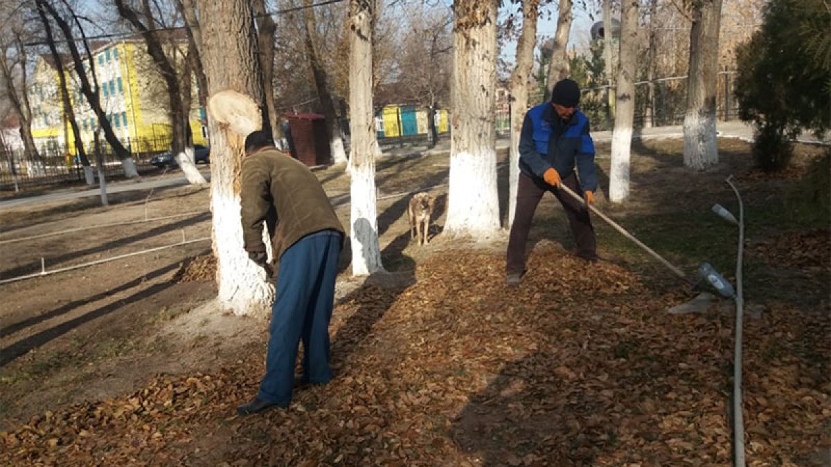Кесенелердің аумағында тазалау жұмыстары жалғасуда