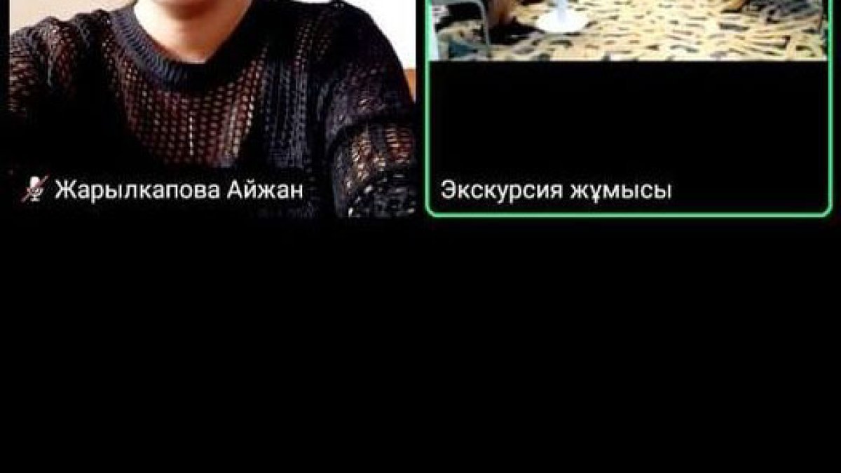 «Музейдің экожүйесі. Пандемия сабақтары» атты кәсіби сессиясы өткізілді
