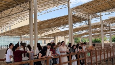 «Өлкенің жас археологы» атты үйірме ұйымдастырылды