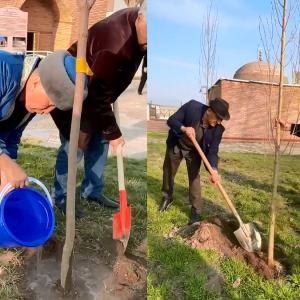 Жаңару күніне орай игі іс